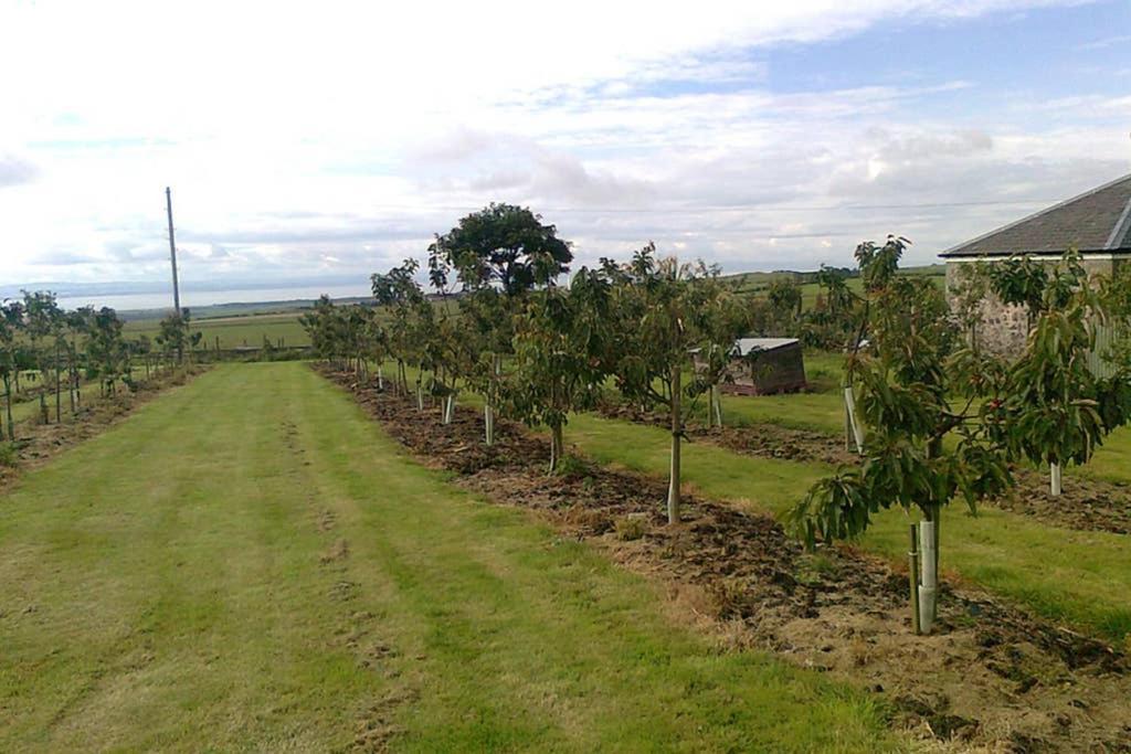 Knightsward Farm Near St Andrews, Scotland Villa แอนสตรัทเธอร์ ภายนอก รูปภาพ