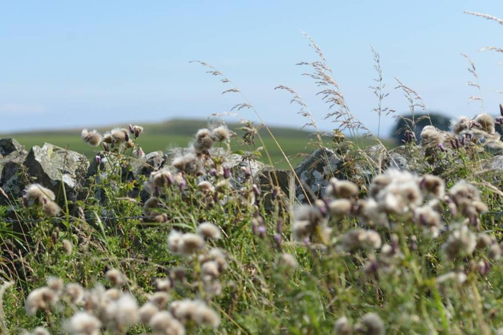 Knightsward Farm Near St Andrews, Scotland Villa แอนสตรัทเธอร์ ภายนอก รูปภาพ